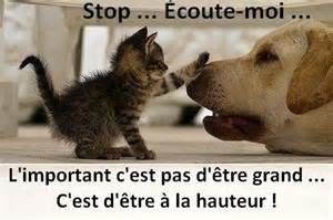 B B S Mignons