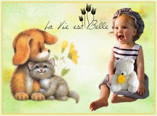 Image du Blog amazone78.centerblog.net